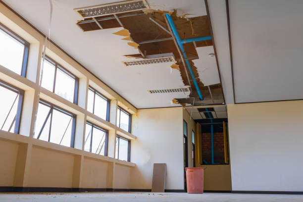 Best Carpet water damage restoration  in Orange City, FL