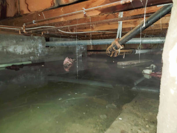  Orange City, FL Water damage restoration Pros