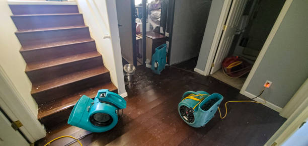 Best Water damage restoration near me  in Orange City, FL