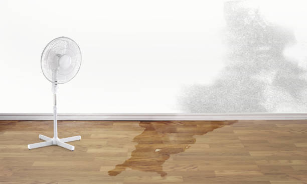 Best Residential water damage restoration  in Orange City, FL