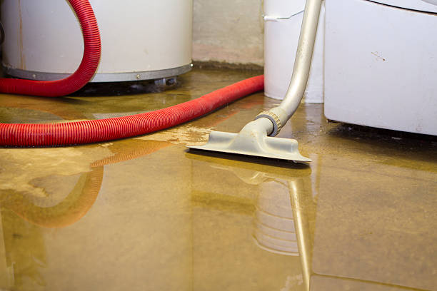 Best Ceiling water damage repair  in Orange City, FL