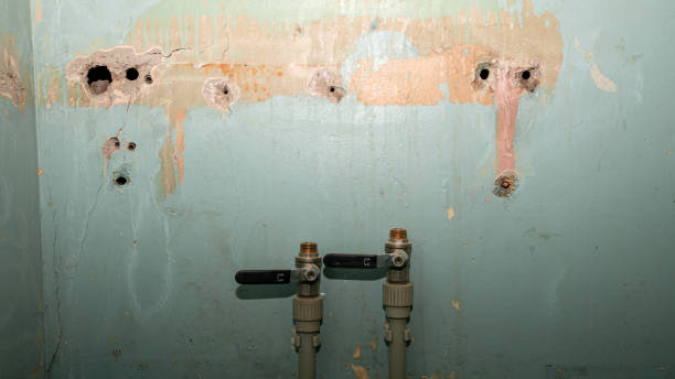 Best Emergency water damage restoration  in Orange City, FL