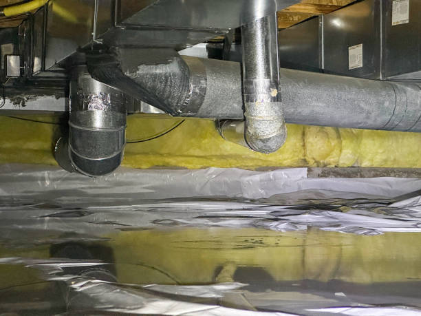 Best Flooded house restoration  in Orange City, FL
