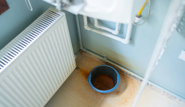 Best Professional water damage repair  in Orange City, FL