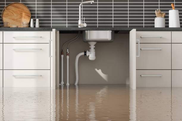 Best Water damage contractors near me  in Orange City, FL