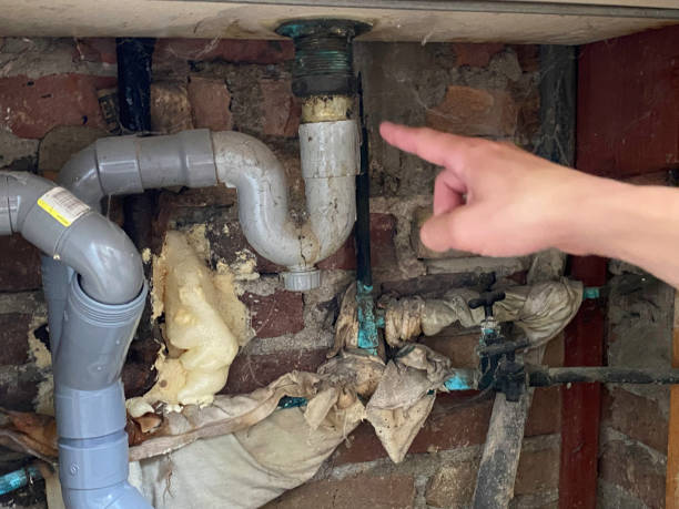 Best Flood restoration services  in Orange City, FL