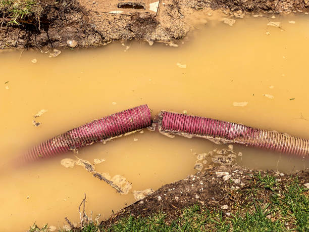 Best Water damage cleanup near me  in Orange City, FL